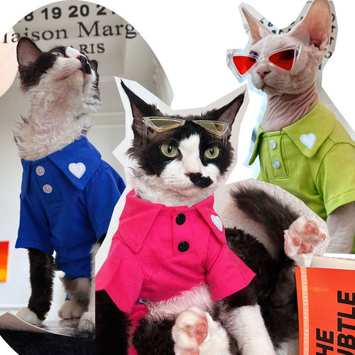 无毛猫星球德文猫衣服纯棉T恤衫