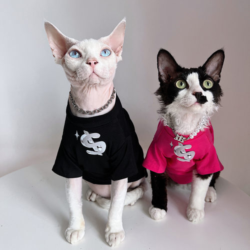 无毛猫星球德文猫短袖