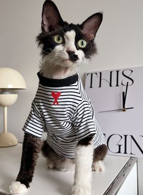 SPHYNX PLANET 德文无猫毛斯芬克斯猫咪衣服纯棉条纹薄款美式T恤