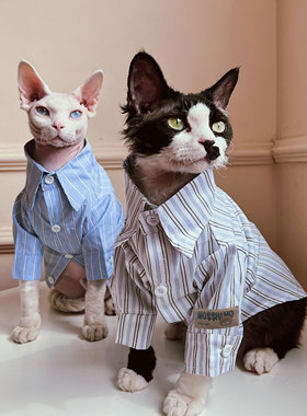 SPHYNX PLANET 无毛猫斯芬克斯德文猫衣服夏季薄款学院风条纹衬衫