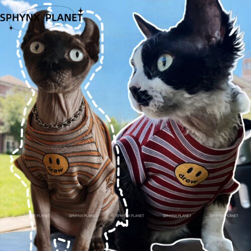 SPHYNX PLANET猫咪无毛猫德文猫柯尼斯阿比薄款夏季条纹t恤