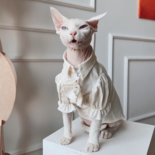 无毛猫星球德文衣服英伦复古衬衫
