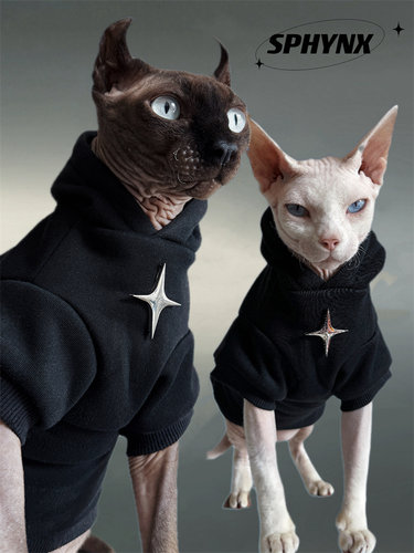 金属秋冬纯棉加绒猫咪衣服