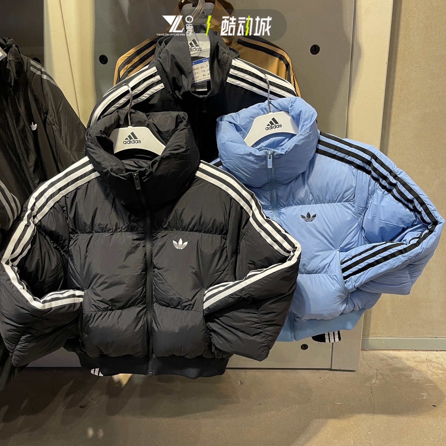 阿迪达斯三叶草女子短款棉服外套