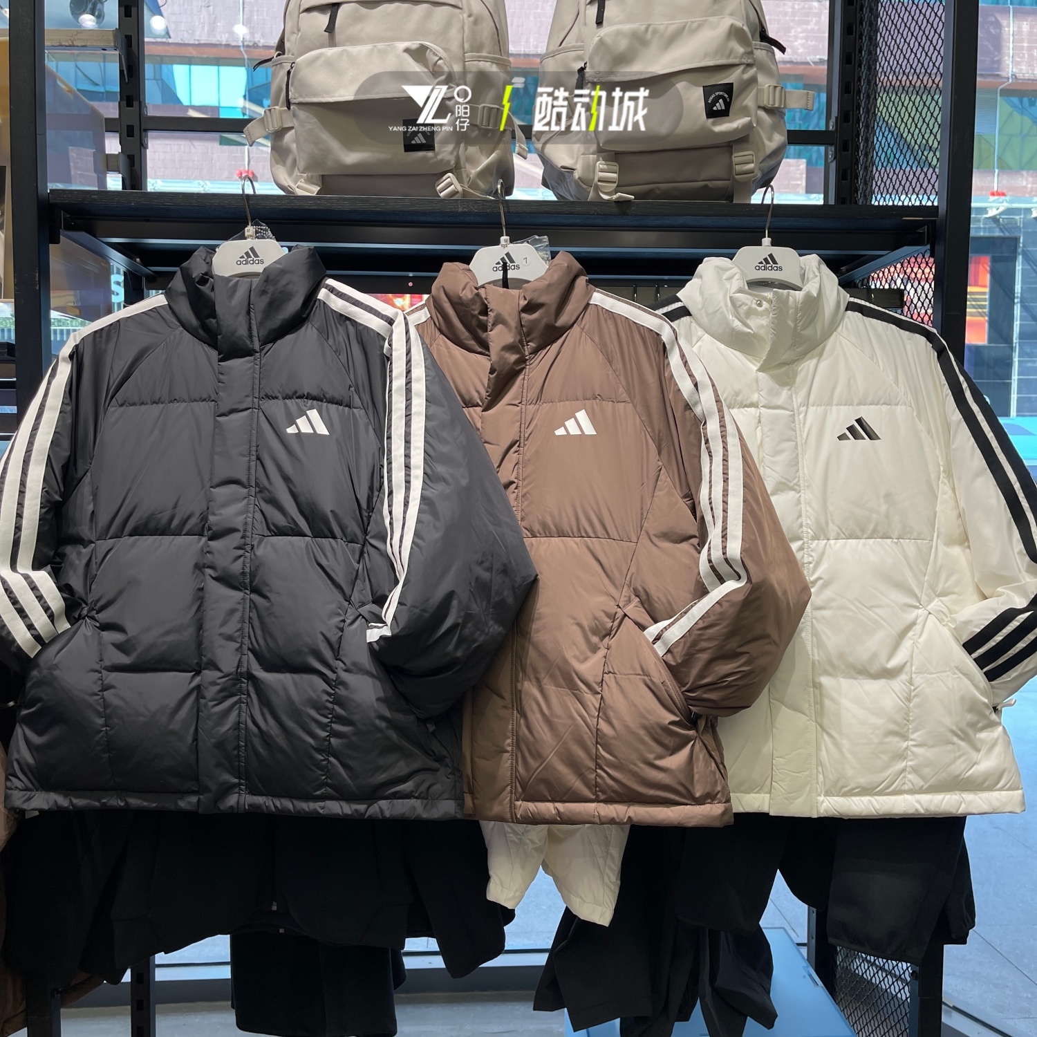 阿迪达斯男子立领羽绒服