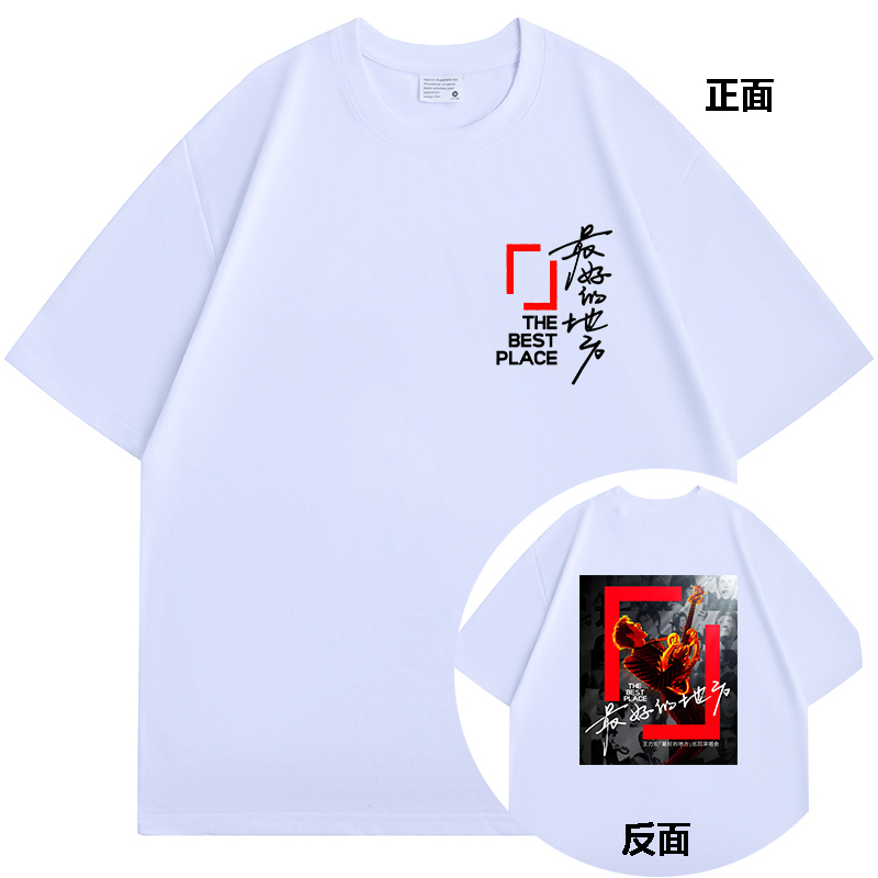 王力宏演唱会最hao的地方短袖T恤
