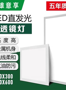 集成吊顶led灯 厨房卫生间灯铝扣板嵌入式30x30x60x300x600平板灯