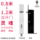 304不锈钢自动暗插销天地木门栓双开门暗藏插销弹簧自动回弹插销