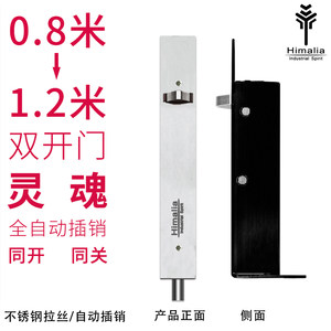 Himalia插销不锈钢暗装自动插销