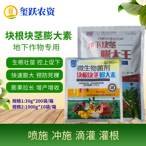地下根茎膨大素拉长膨果