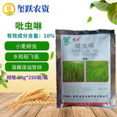 遍净吡虫啉 蚜虫飞虱韭蛆小黑飞花卉多肉植物杀虫剂20g 10%吡虫啉