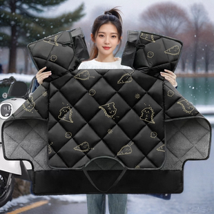 专用南方梦拉丽莎米乐150踏板冬季挡风被加绒加厚防水冬天防风罩