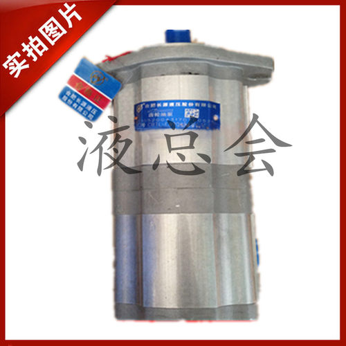 合肥长源齿轮泵CBTL-E430/E416-AFP/AFPL/AFH/AFHL/AFΦ/AFΦL