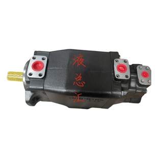 V08 B14 93466496液压叶片泵注塑机油泵 VT7DBB 00A1M1 B38