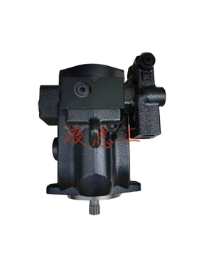 液压柱塞马达LRR025CLS2020NNN3C2AGA6NPLBNNNNNNN