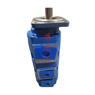 液压齿轮泵双联泵钻井吊车煤机环卫车高压泵 1115143C20 P370