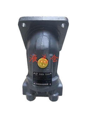 ZHENYUAN液压马达AA2FM32/61W-VSD526质保一年
