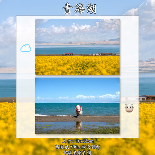 青海湖明信片原创摄影油菜花西北