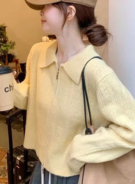 【小四粉丝专享】A382通勤风翻领拉链针织开衫毛衣外套