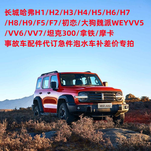 哈弗魏派坦克300原车配件