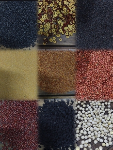 私人订制抖音同款 养胃粉健脾粉450g无硫宝宝可食用定制