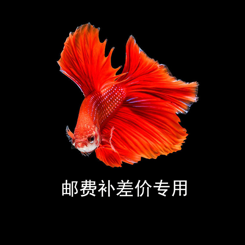 邮费包装费补差专用非实物图片