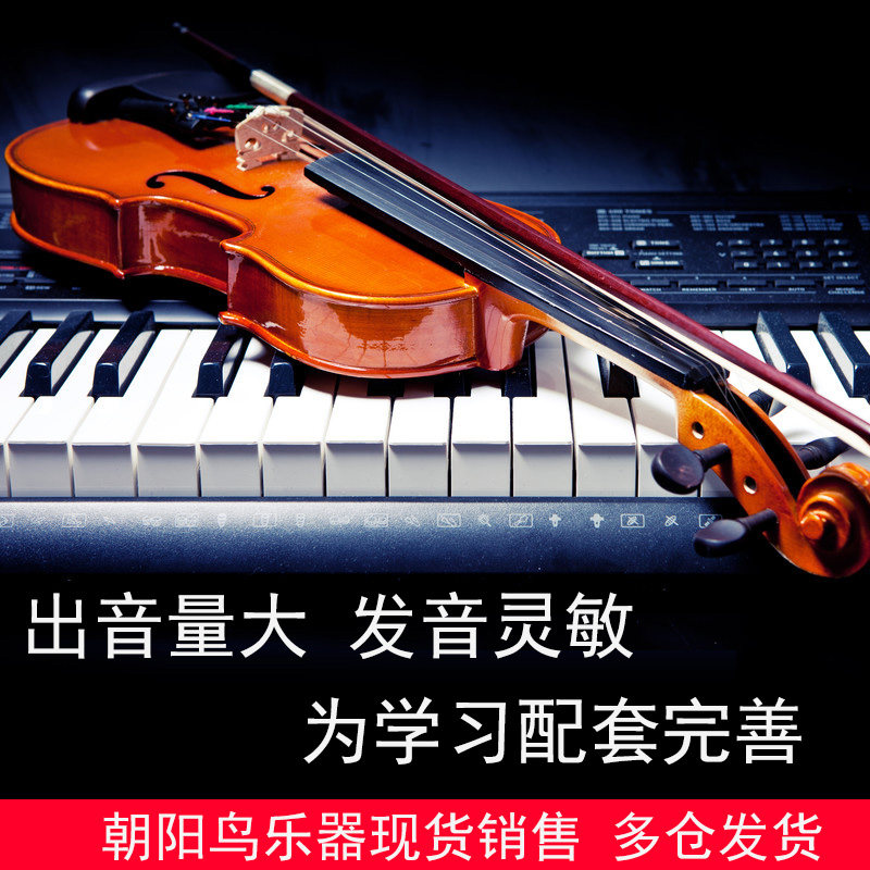 小提琴初学者成人学生儿童专业入门演奏虎纹实木送全套小提琴配件图片