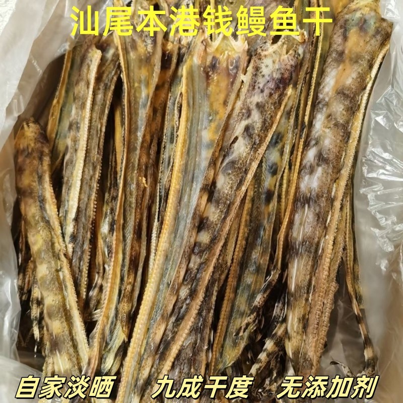 汕尾本港麻鱼干渔民自晒淡干鳗鱼小鳗鱼干钱鳗鱼干麻鱼脯海鲜干货