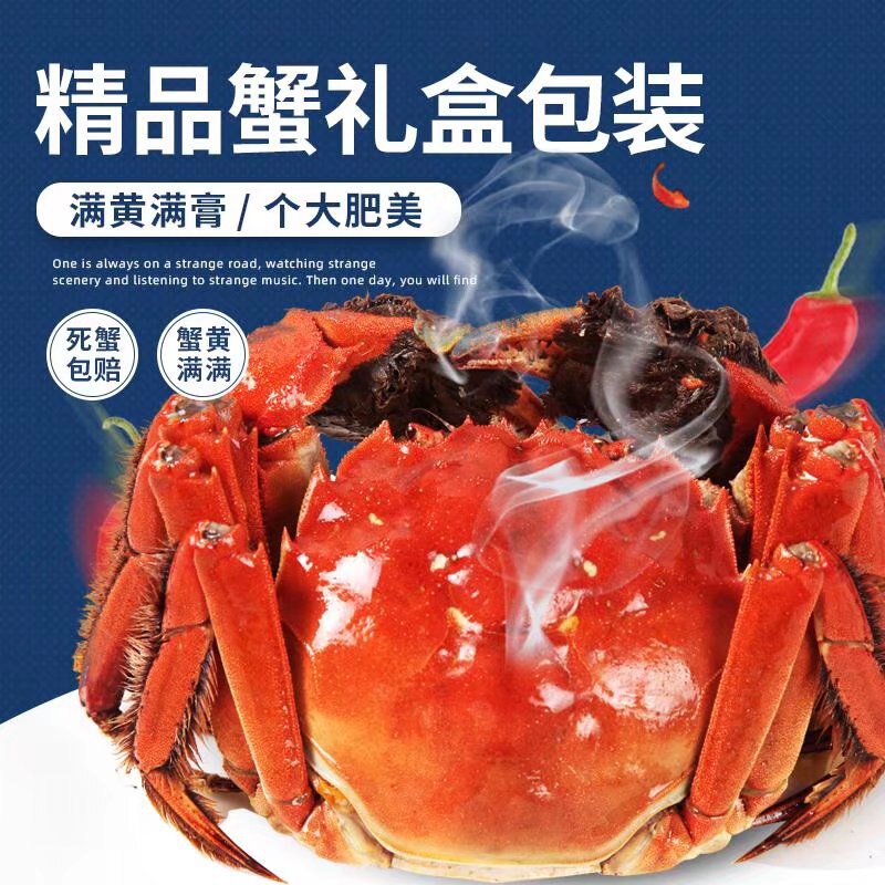 鲜活蟹现货大闸蟹鲜活螃蟹公母蟹