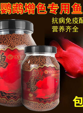 寸金增红发财地图鱼正品血鹦鹉