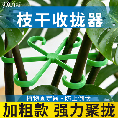 植物支撑杆防倒伏植物聚拢支撑架