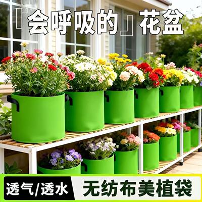 灰绿色种植袋美植袋加高种树植袋加厚无纺布果树超特大号花盆藤爬