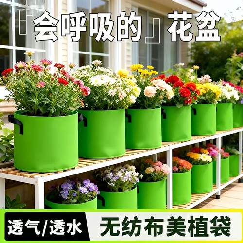 灰绿色种植袋美植袋加高种树植袋加厚无纺布果树超特大号花盆藤爬
