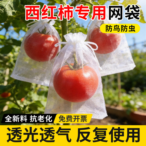 水果套袋西红柿专用防虫防鸟纱网袋草莓套袋葡萄透气套袋无花果