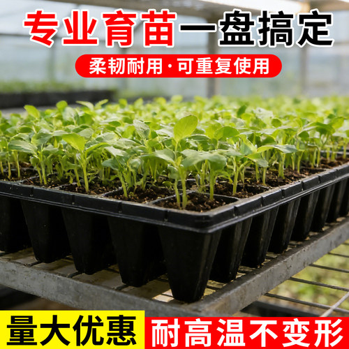 育苗盘穴盘育苗盆种植神器蔬菜玉米秧种植蔬菜育种扦插营养杯育苗