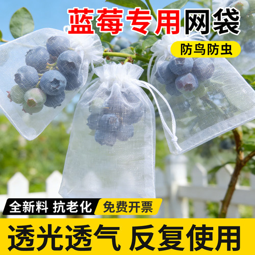 水果套袋蓝莓专用防虫防鸟罩桃子苹果番石榴梨专用保护果树套网袋