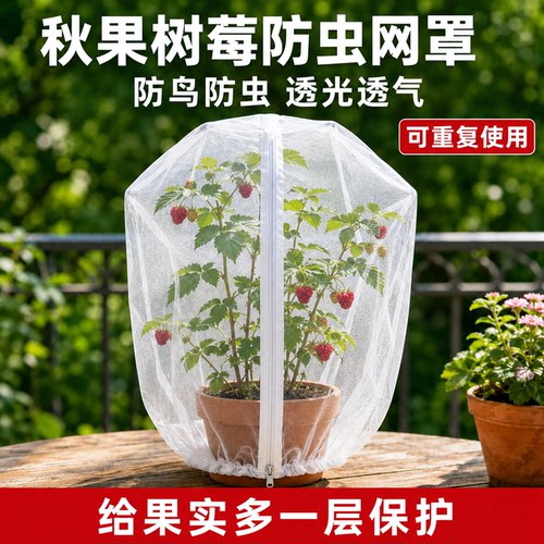 树莓专用防虫网罩防鸟罩纱网带抽绳拉链蓝莓番茄防果蝇防蚊透光