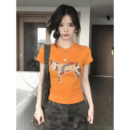 【赠送运费险】小红书博主推荐