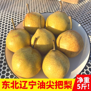 东北正宗鞍山尖把梨辽宁特产秋子梨冻梨葫芦尖把梨5斤酸甜软梨