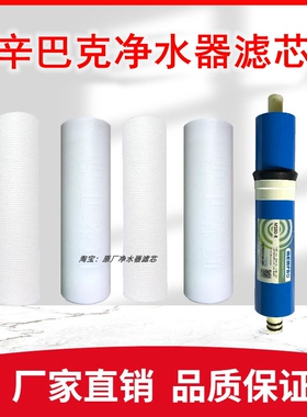 辛巴克净水器滤芯LQY-100 Q21/Q22语音款加热一体机RO纯水机通用