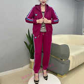 新款 休闲两件套装 运动套女士妈妈装 时尚 韩系连帽卫衣束脚裤 秋装