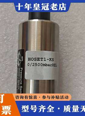 维修HOPPE 压载探头Hoset1--kS 0/2500mb，议价