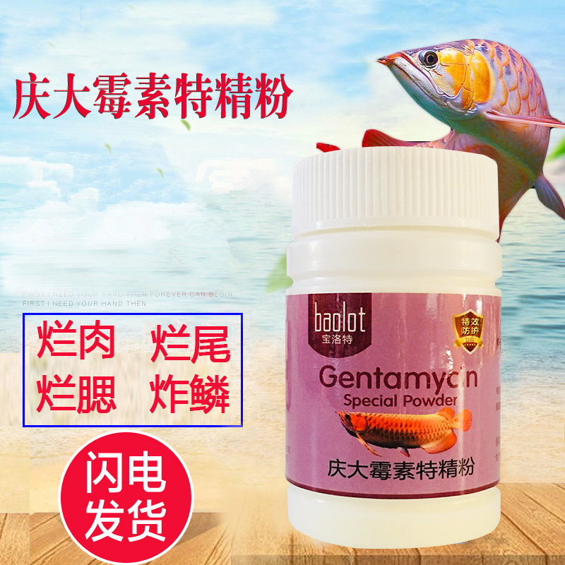 充血品牌精品汇聚 价格大全移动版 最宠网