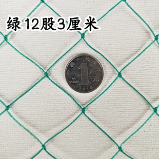 12股3厘米网眼养殖网养鸡网天网顶网栏鸡网围栏网养鸡栏网户外网