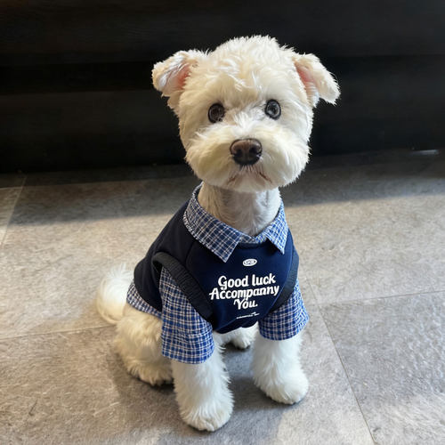 小狗衣服宠物秋冬保暖加厚衣服