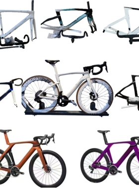 碳纤维车架/皮娜/sl8/S5/梅花/蚕蛹/马东/斯科特自行车整车涂装