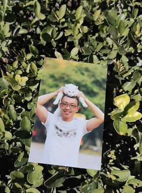 【书生与猫时光】明信片