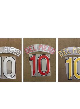 尤文印字10号皮耶罗印号#10 DEL PIERO Nameset2006-2007热转印