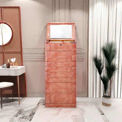 ZYCY卧室家用实木带镜指纹首饰柜