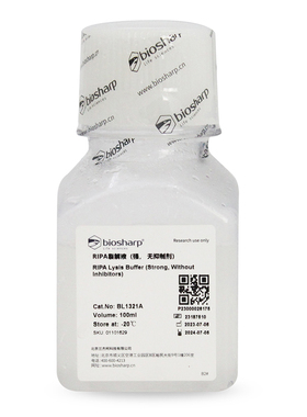 Biosharp/白鲨  BL1321A  RIPA裂解液（强, 无抑制剂） 100ml